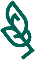 Tree Image